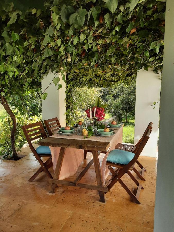 Finca Can Paci Санта Еулалия дел Рио Екстериор снимка